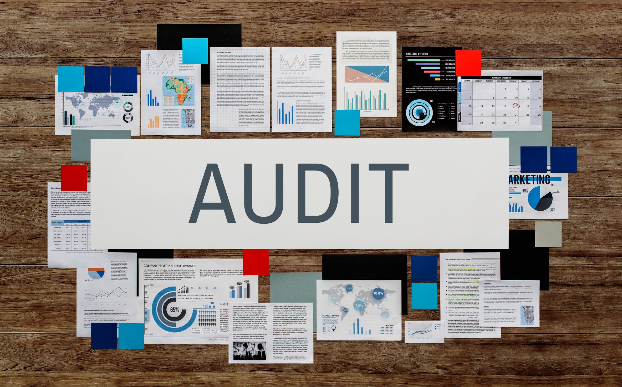 Audit Protection Plan 