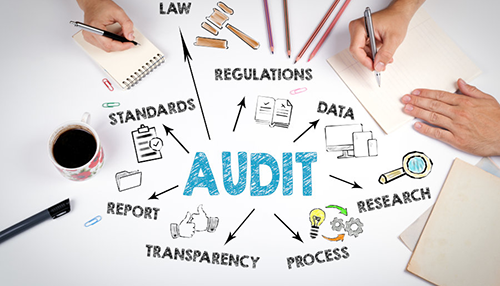 Individual Audit Protection Plan